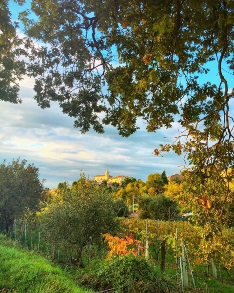 Varano (foto gc  AM) - Fate discepoli tutti i popoli